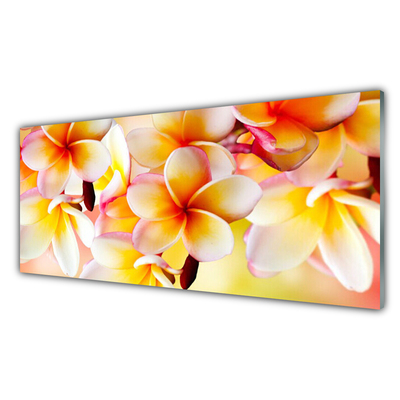 Plexiglas® Wall Art Flowers floral red green white