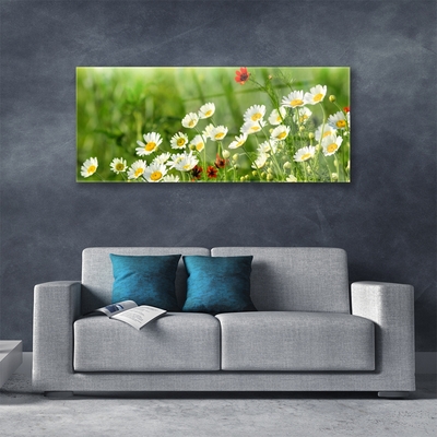 Plexiglas® Wall Art Daisy nature yellow white