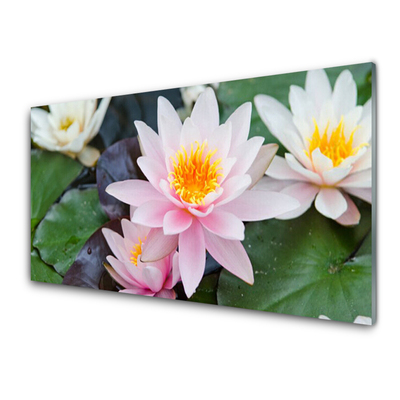 Plexiglas® Wall Art Flowers floral yellow pink