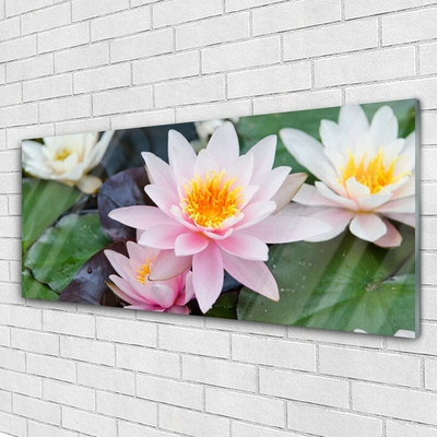 Plexiglas® Wall Art Flowers floral yellow pink