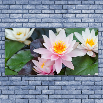 Plexiglas® Wall Art Flowers floral yellow pink