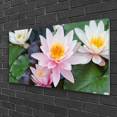 Plexiglas® Wall Art Flowers floral yellow pink