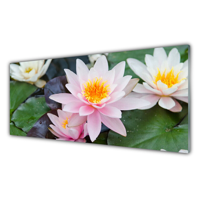 Plexiglas® Wall Art Flowers floral yellow pink