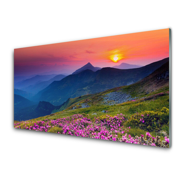 Plexiglas® Wall Art Mountains meadow flowers landscape yellow blue green pink