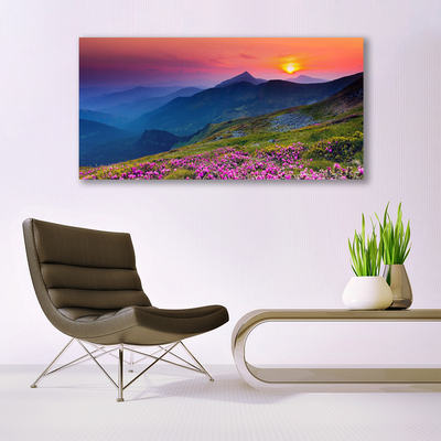 Plexiglas® Wall Art Mountains meadow flowers landscape yellow blue green pink