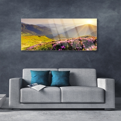 Plexiglas® Wall Art Mountain meadow landscape green pink grey