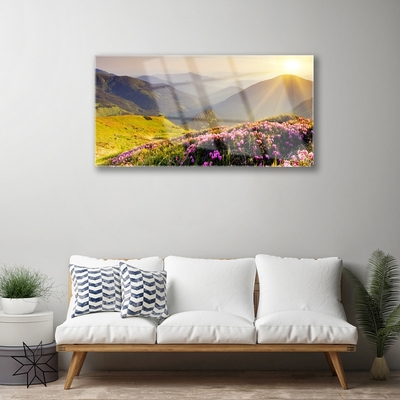 Plexiglas® Wall Art Mountain meadow landscape green pink grey