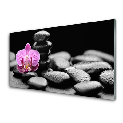 Plexiglas® Wall Art Flower stones art pink black