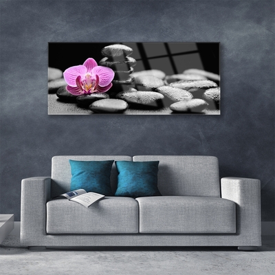 Plexiglas® Wall Art Flower stones art pink black