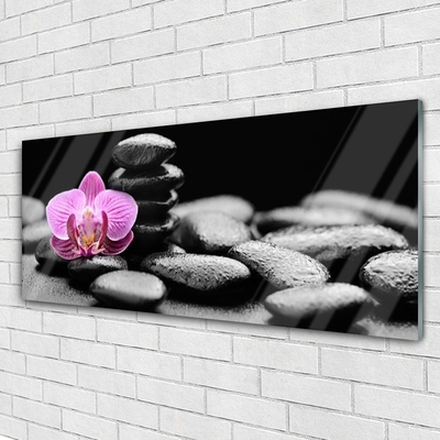 Plexiglas® Wall Art Flower stones art pink black