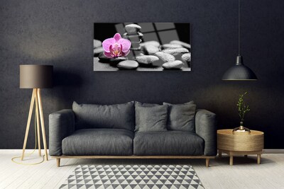 Plexiglas® Wall Art Flower stones art pink black