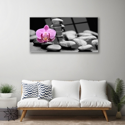 Plexiglas® Wall Art Flower stones art pink black