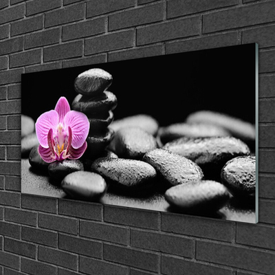 Plexiglas® Wall Art Flower stones art pink black