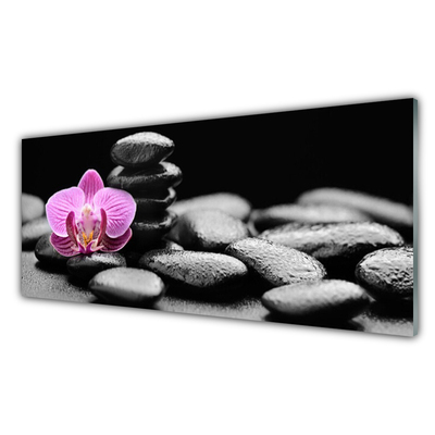 Plexiglas® Wall Art Flower stones art pink black