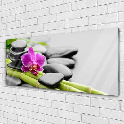 Plexiglas® Wall Art Bamboo tube flower stones art green pink black