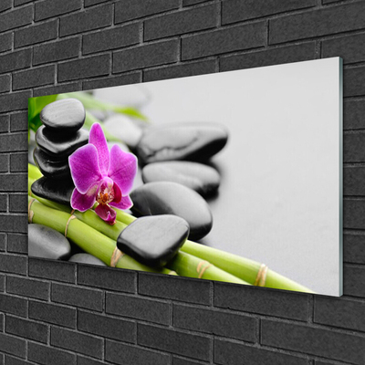 Plexiglas® Wall Art Bamboo tube flower stones art green pink black