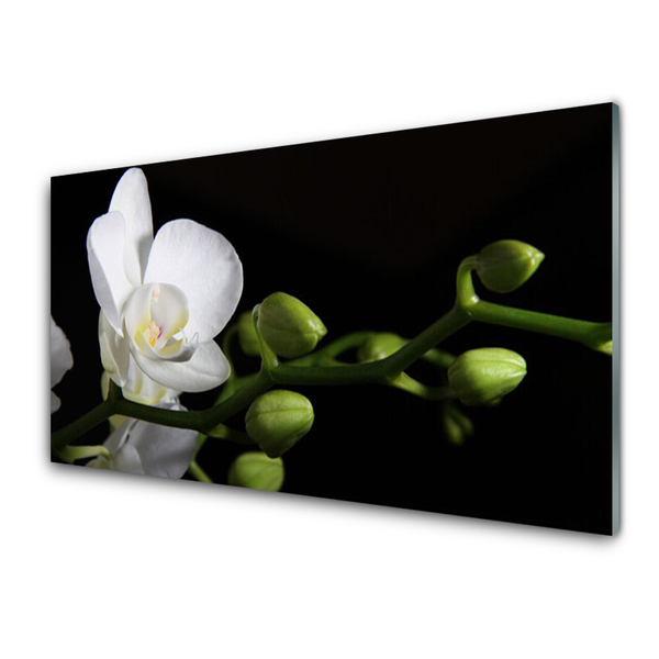 Plexiglas® Wall Art Flower floral white