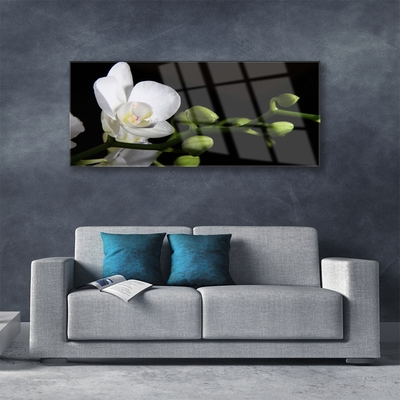 Plexiglas® Wall Art Flower floral white