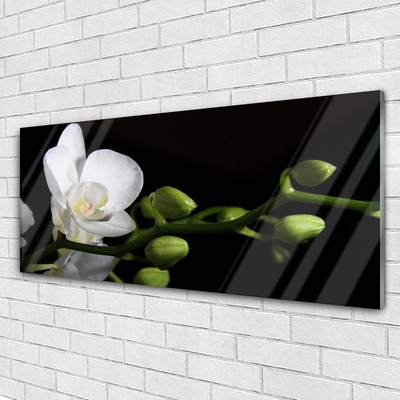 Plexiglas® Wall Art Flower floral white