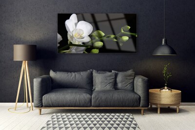 Plexiglas® Wall Art Flower floral white