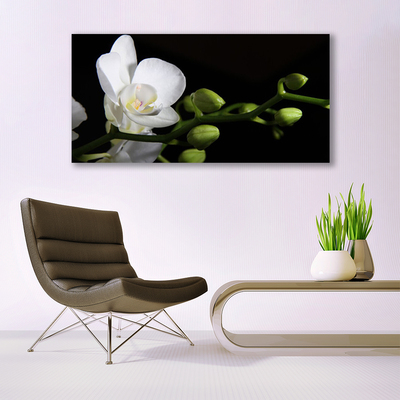 Plexiglas® Wall Art Flower floral white