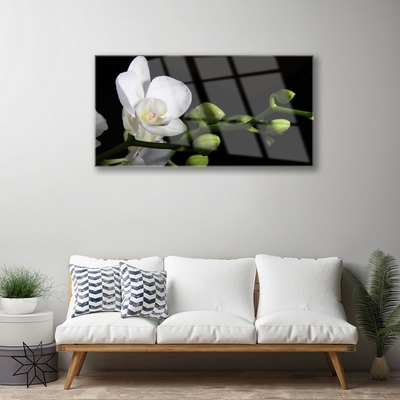 Plexiglas® Wall Art Flower floral white