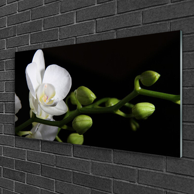 Plexiglas® Wall Art Flower floral white