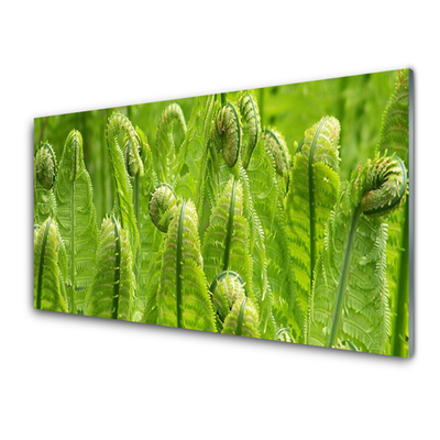 Plexiglas® Wall Art Plants floral green