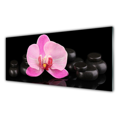 Plexiglas® Wall Art Flower stones floral pink black