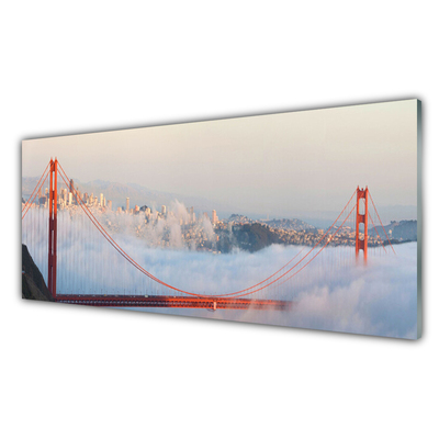 Plexiglas® Wall Art Bridges architecture brown white