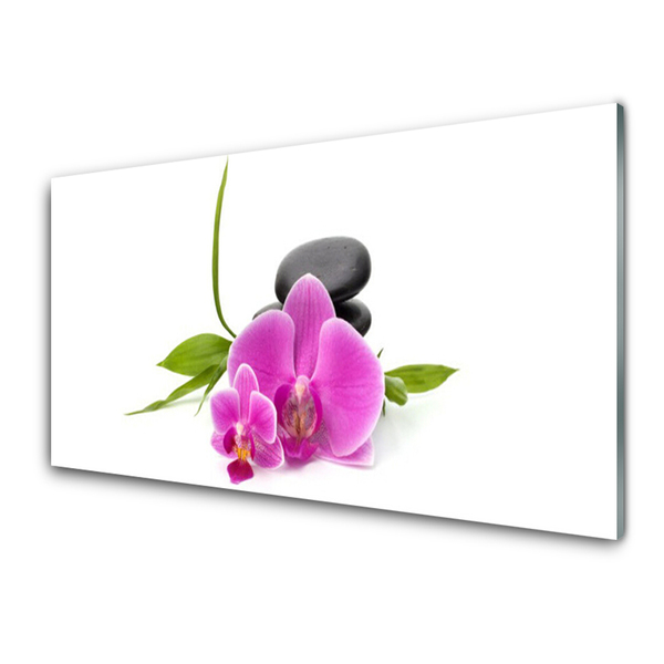 Plexiglas® Wall Art Flower stones floral pink black