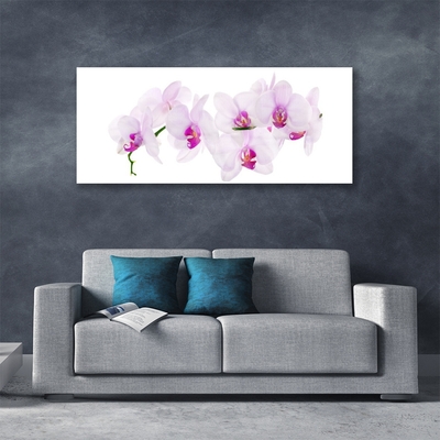 Plexiglas® Wall Art Flowers floral pink