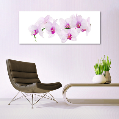 Plexiglas® Wall Art Flowers floral pink