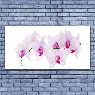 Plexiglas® Wall Art Flowers floral pink