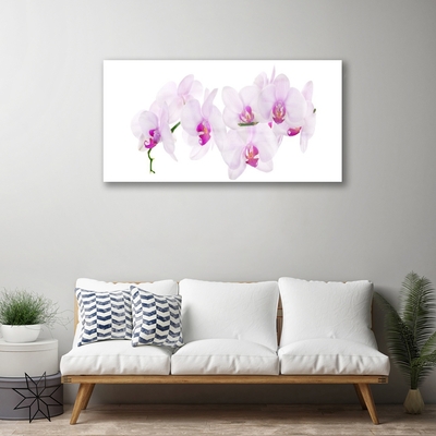 Plexiglas® Wall Art Flowers floral pink