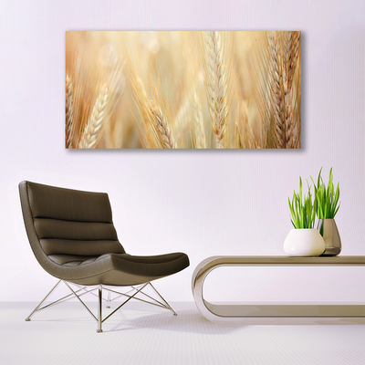 Plexiglas® Wall Art Wheat floral brown