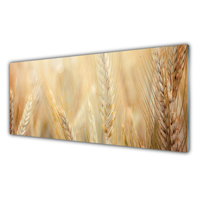 Plexiglas® Wall Art Wheat floral brown