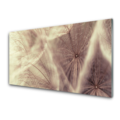 Plexiglas® Wall Art Dandelion floral grey