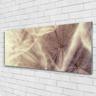 Plexiglas® Wall Art Dandelion floral grey