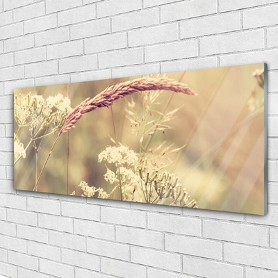 Plexiglas® Wall Art Wild plants floral white brown