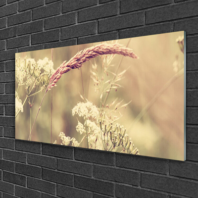 Plexiglas® Wall Art Wild plants floral white brown