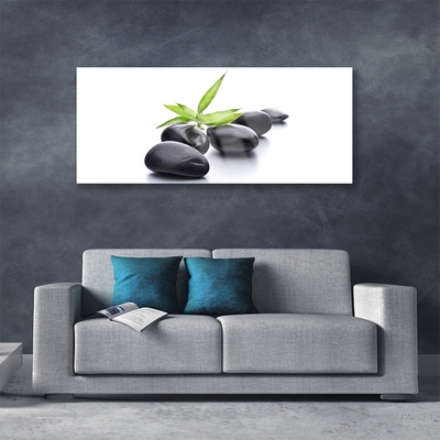 Plexiglas® Wall Art Stones art black