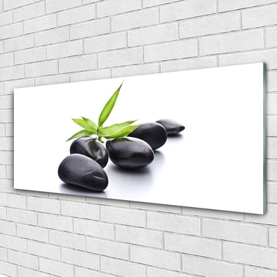 Plexiglas® Wall Art Stones art black