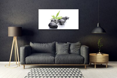 Plexiglas® Wall Art Stones art black