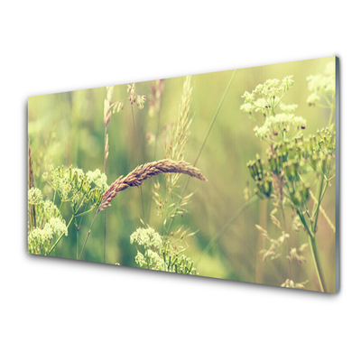 Plexiglas® Wall Art Wild plants floral white green brown