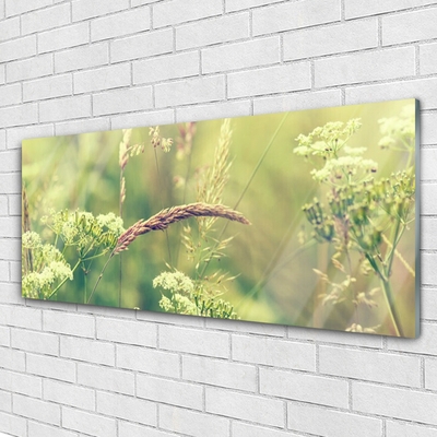 Plexiglas® Wall Art Wild plants floral white green brown