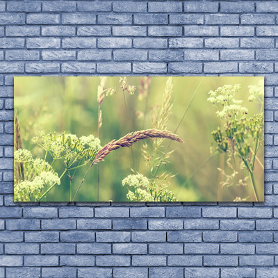 Plexiglas® Wall Art Wild plants floral white green brown