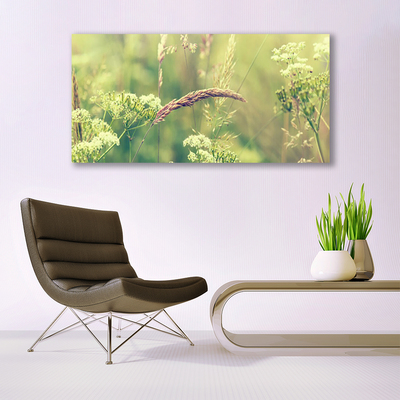 Plexiglas® Wall Art Wild plants floral white green brown