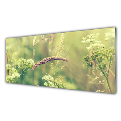 Plexiglas® Wall Art Wild plants floral white green brown