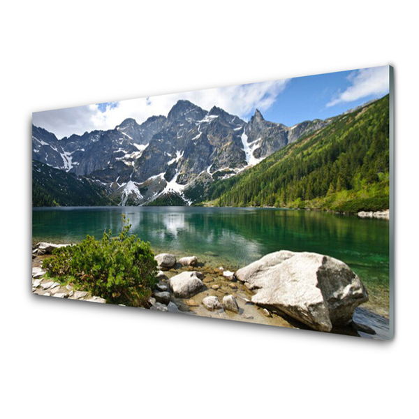 Plexiglas® Wall Art Lake mountains landscape blue grey white